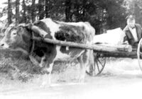 history-2-e1600346963921