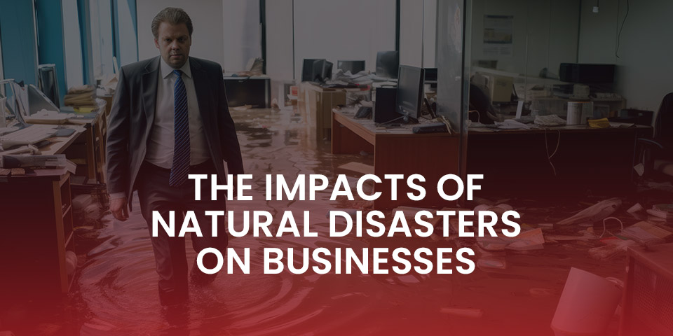 The impacts of natural disasters on businesses