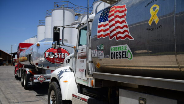 DSC_1014-scaled-e1657816354909-600x340-1